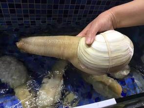 男孩丁丁图片,纯真笑容下的快乐瞬间