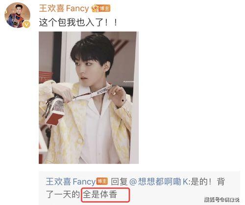 王俊凯与网红的小说,一段跨越圈层的浪漫传奇