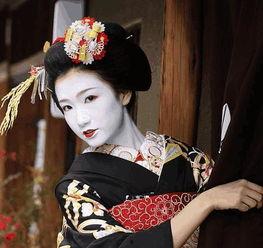 日本艺妓资料,传统艺术与生活画卷