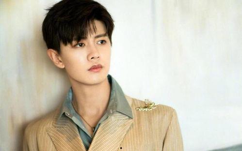 任嘉伦娱乐圈,娱乐圈的璀璨星辉与成长足迹